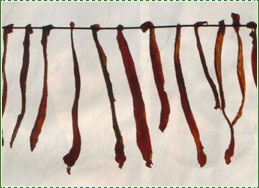 carne_pinduli